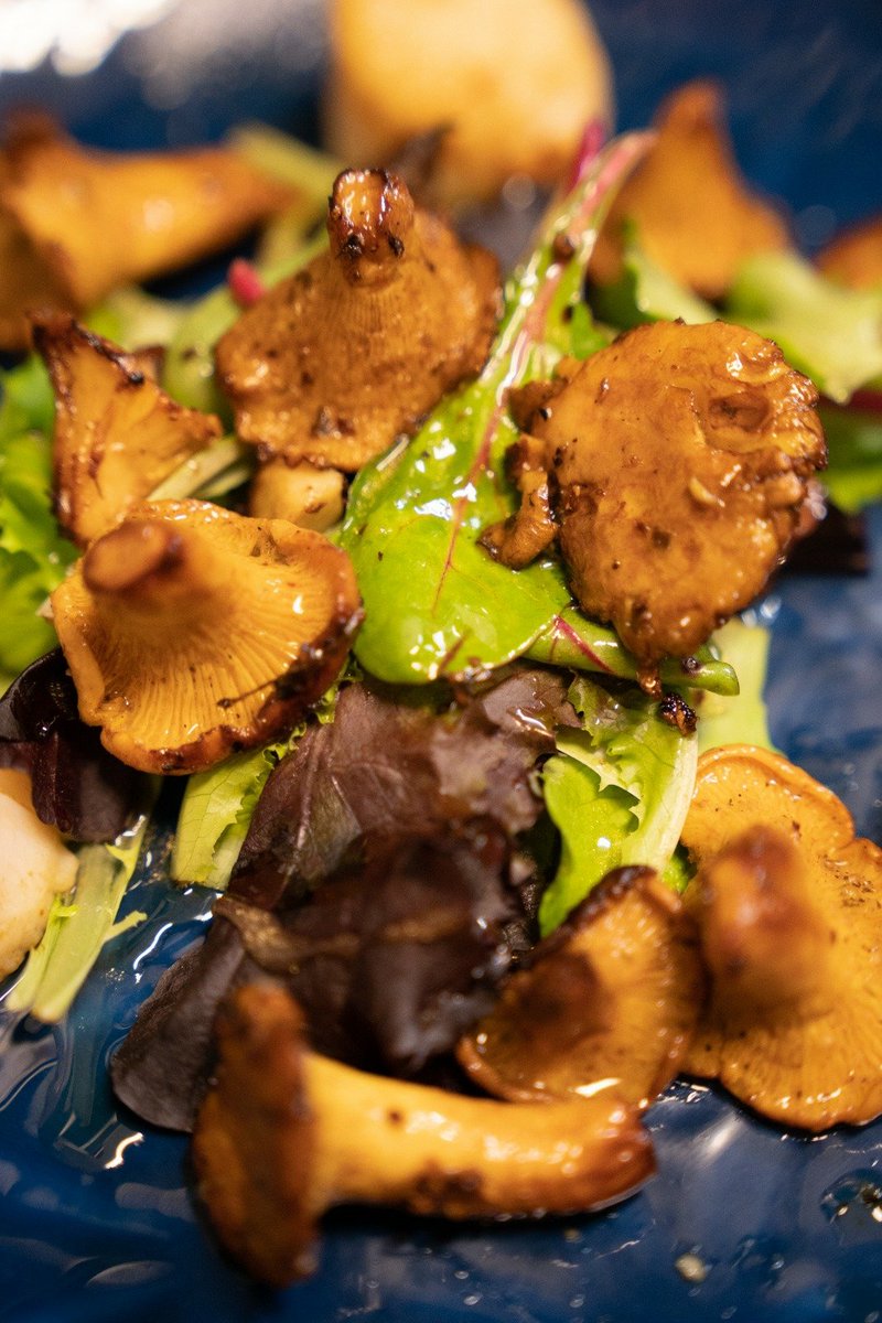 27Gourmand's tweet photo. Nous fêtons les #girolles !
Notre site :
https://t.co/O98LJbykPe pour réserver et découvrir nos recettes #confit, #magret, #canard https://t.co/zrxBIRj0th