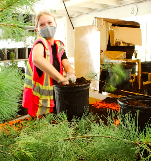 Happy National Tree Day 🌲

For the past 6 years we have been dedicated to reforestation projects within our community. Let's keep growing. 

How can you contribute?
Check out our website for further information on partnerships.