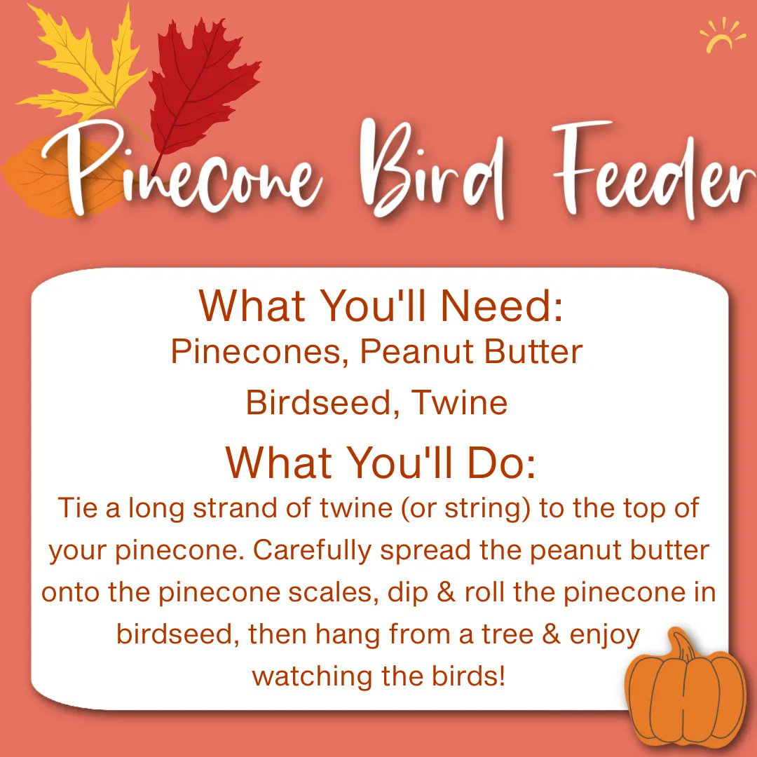 ThriveSWFL's tweet photo. It’s the 🍁🍂🌾First Day of Fall🍁🍂🌾  &amp; we at Thrive hope your family makes some wonderful memories in this new season! ✨ Here are a few “Florida-friendly” activities to help you enjoy the autumn… without melting in the SWFL sun☀️ 
#thrive #firstdayoffall #florida #swfl https://t.co/IQCi1lyOKG