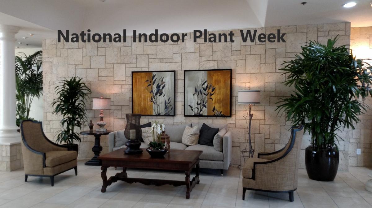 InsidePlants's tweet photo. https://t.co/SpEcFmoYYu https://t.co/cwWiE3JIu3