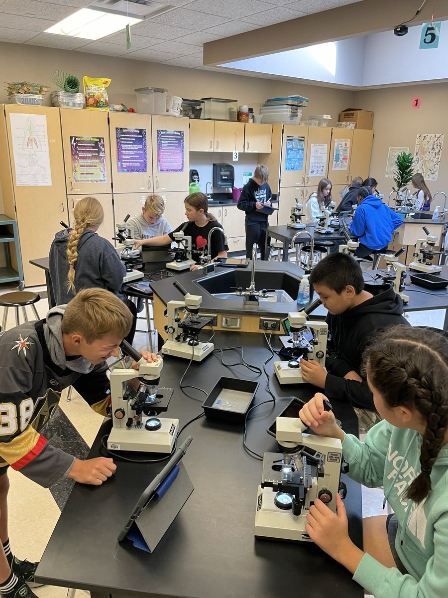 mommaruns26's tweet photo. CSI happening in 7th grade Life science at Mandan Middle School. Who stole the mascot costume? We will find out!! #BeBRAVE https://t.co/QNz8hTtATQ
