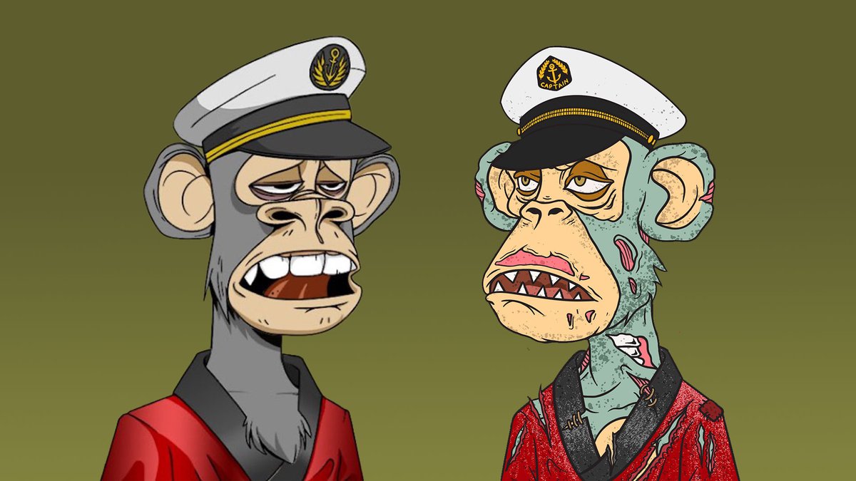 Conqueror tweet media