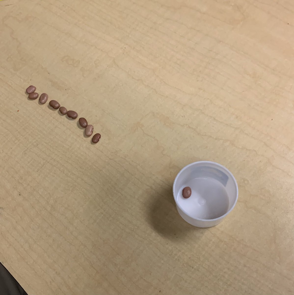 chjkfla4's tweet photo. Counting to 9 in Kindergarten @AESPASCO @K4Griffin @ethomas12 #buildingancloteleaders #inspiregenius https://t.co/IHXxTp3Ssq