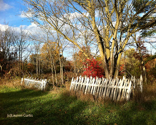LaurenCurtisArt's tweet photo. Here's to the return of BALANCE &amp; EQUALITY with this Fall/Mabon/Autumnal Equinox season... #autumnalequinox #fall #autumn #Mabon #AutumninNJ #fallscene #historicfarmsinNJ #whitepicketfence #autumnpics #fallphotos #MabonBlessings #historicNJ https://t.co/yvpy86cvhH