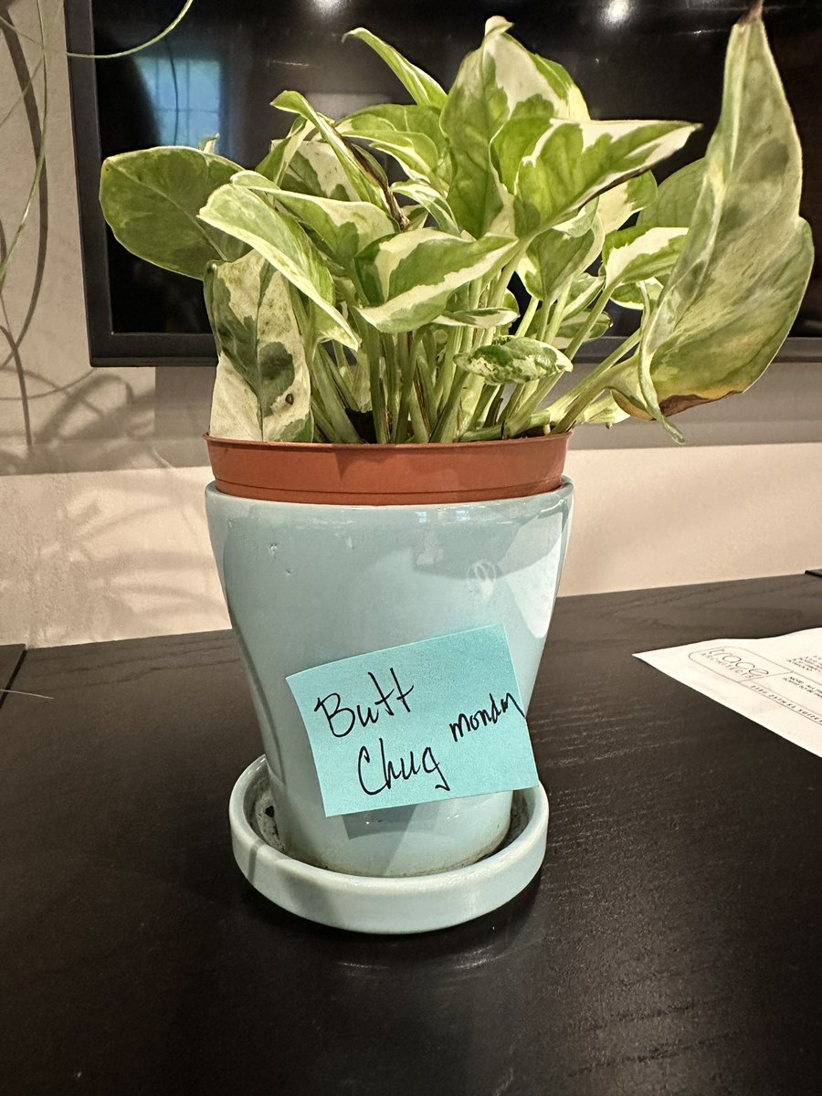 Hannah Breedlove tweet media