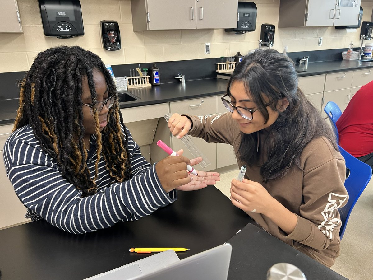 sarahnethero's tweet photo. Testing sensory receptors and plotting sweat gland distribution in different areas of the body #integumentarysystem #netheroanatomy #skin #sensoryreceptors #sweatglands https://t.co/QJnrV7A2xF