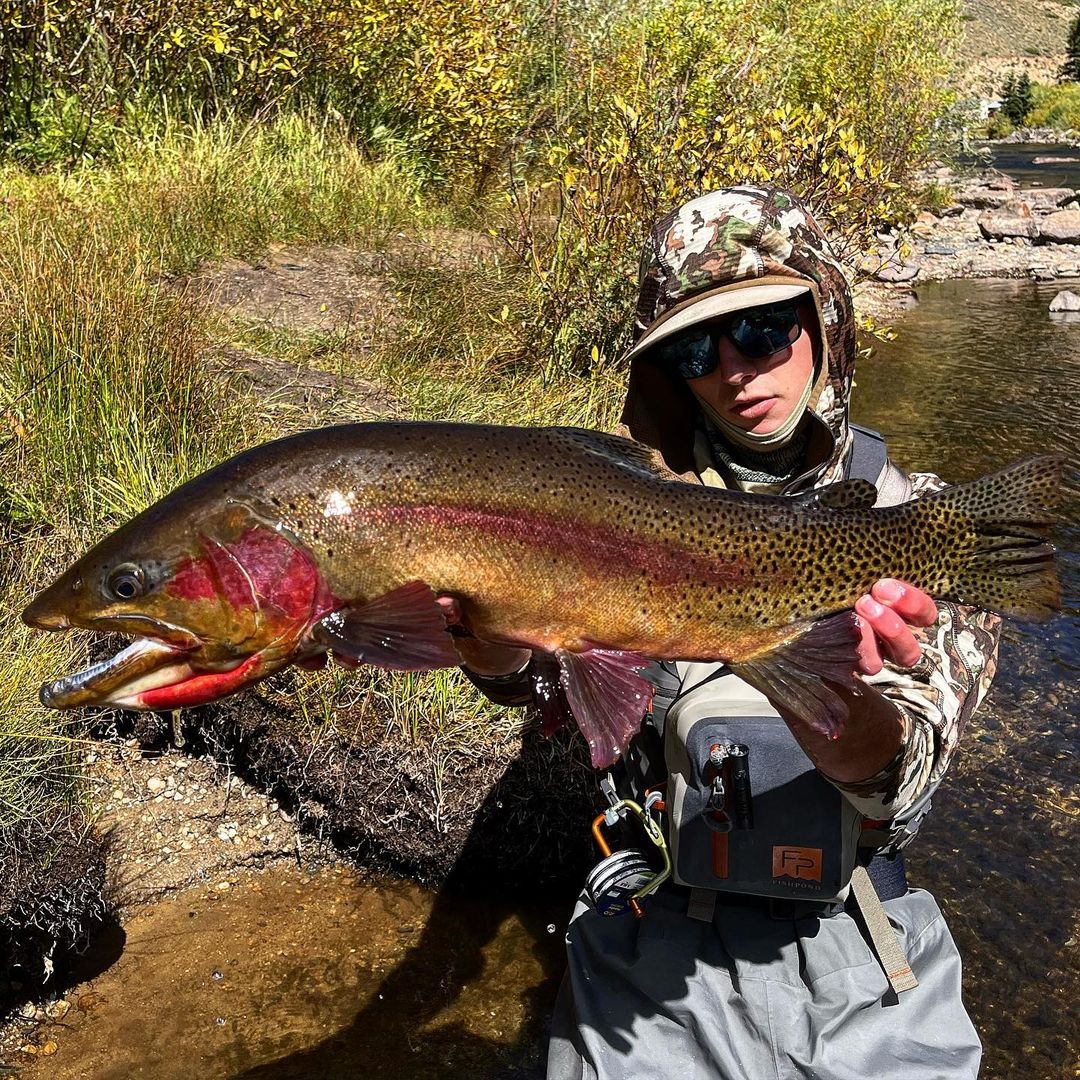 Riva on Twitter: "Name the fish! #fishing #fishinglife https://t.co
