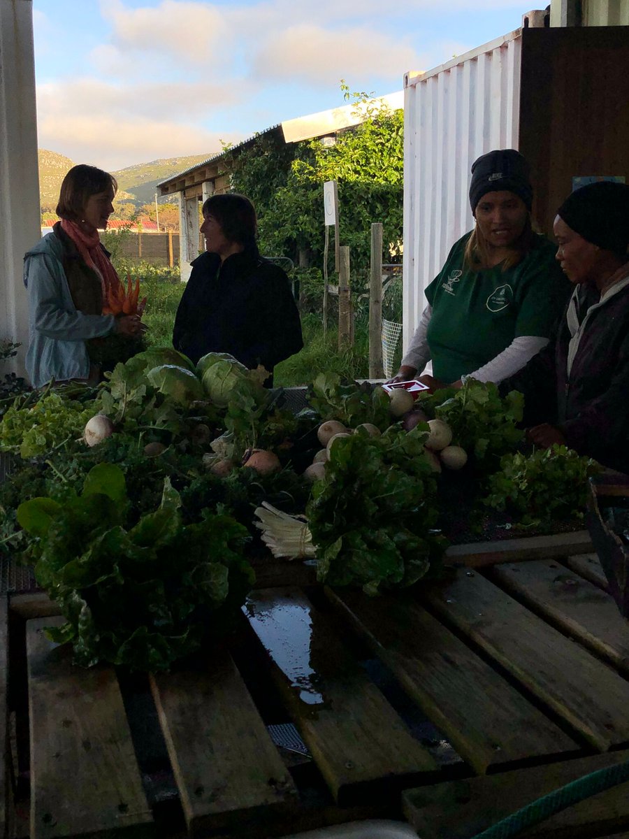 Vanesa Castán Broto (@vanebailo) on Twitter photo Great times in Cape Town, discussing Equitable Urban Adaptation in a lovely workshop organised by <a href="/GinaZiervogel/">Gina Ziervogel</a> - thanks for the photos <a href="/atamorimmaia/">Dr Ana 🌎 Amorim-Maia</a> Great times in Cape Town, discussing Equitable Urban Adaptation in a lovely workshop organised by <a href="/GinaZiervogel/">Gina Ziervogel</a> - thanks for the photos <a href="/atamorimmaia/">Dr Ana 🌎 Amorim-Maia</a>