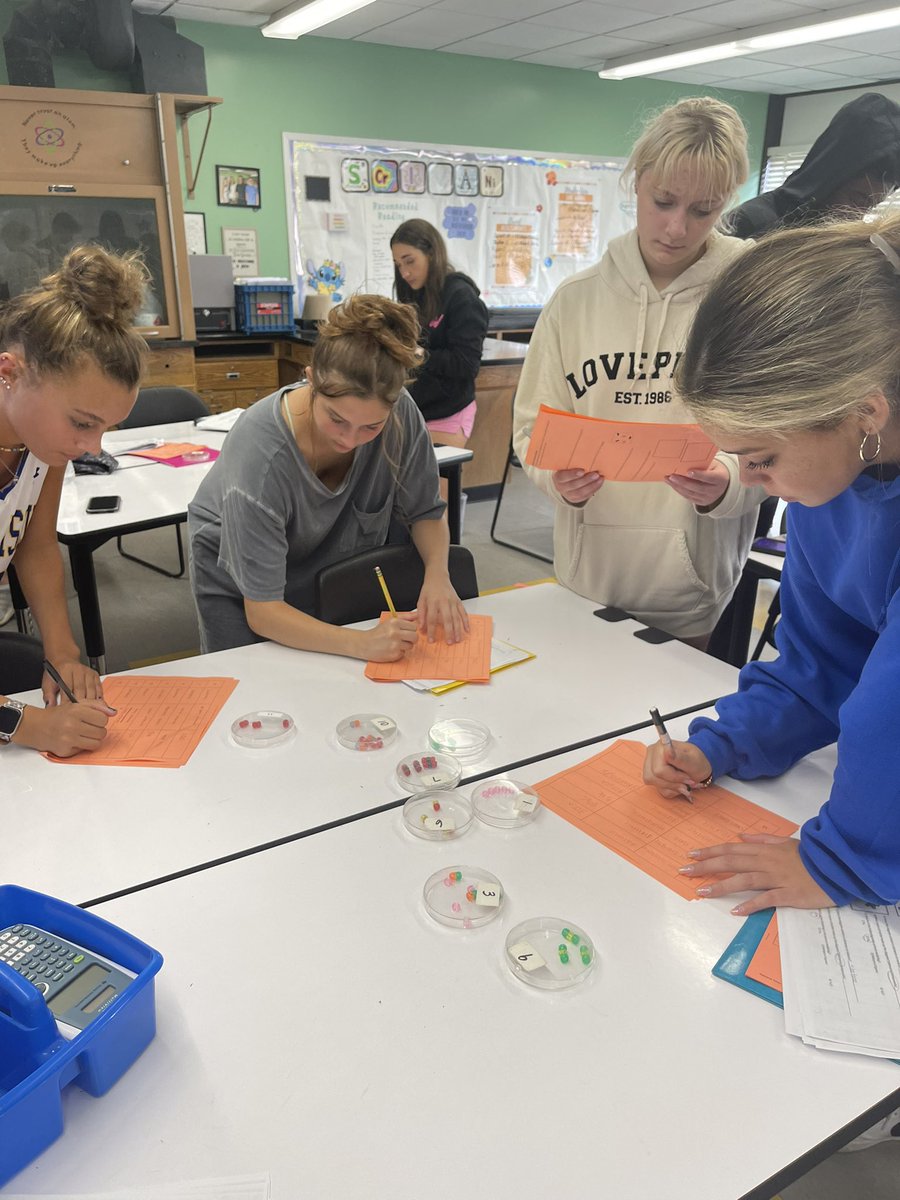 TweetingPureAu's tweet photo. I weirdly LOVE teaching particle diagrams 🫣 and 3D models are way more fun than black & white pictures!
Building skills we will use the rest of the year 👍🏼 #WIProud #Chemistry #ClassifyingMatter https://t.co/ImU3MKUr0y