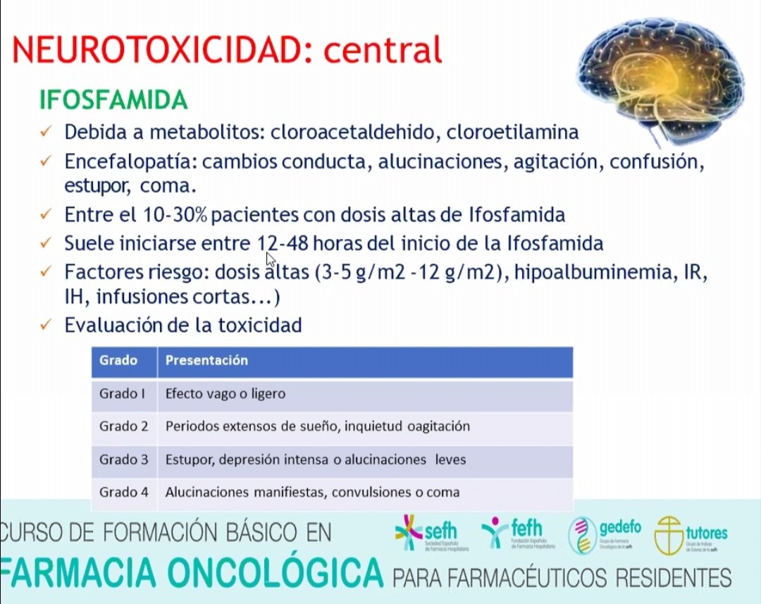 Curso de Formación Básica en Farmacia Oncológica para Farmacéuticos Residentes <a href="/sefh_/">S.E.F.H</a>  💻📚

Toxicidad de los tratamientos antineoplásicos 💊: