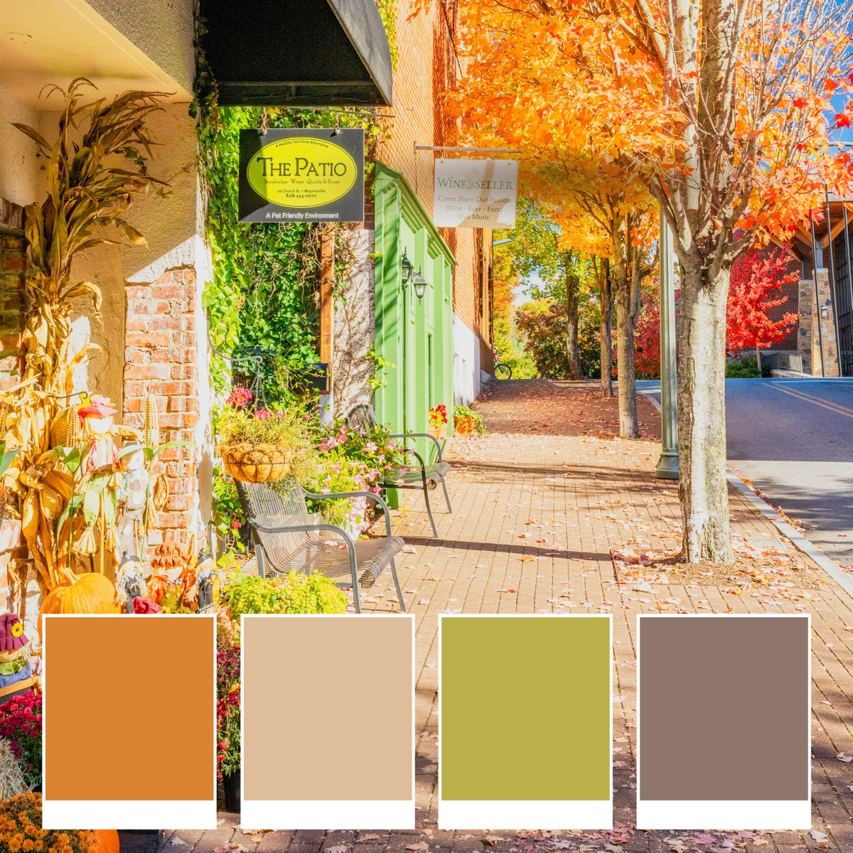 VisitNCsmokies's tweet photo. For an explosion of autumn color, the NC Smokies are the place to be this fall! 🍁 Whether you’re hiking one of our trails or shopping downtown, vibrant hues will flood your vision. #haynow #fallcolors #fallcolorpalette #visitncsmokies #AutumnEquinox #happyfallyall https://t.co/xBtt2BftOT