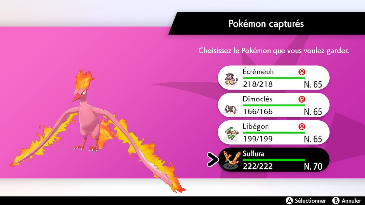 Raphalouf tweet media