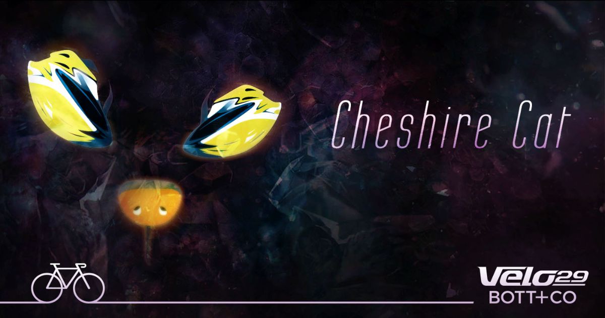 Velo29events tweet media