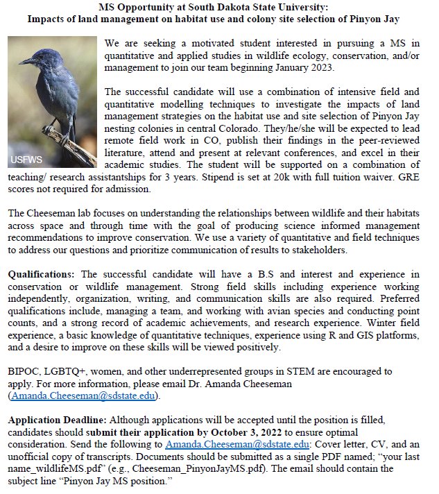 MS Assistantship opportunity! 🐦🌲 Please RT!

Looking for a MS student interested in investigating Pinyon Jay responses to habitat management in scenic central Colorado! Project starts January 2023 and will be based <a href="/SDStateNRM/">SDStateNRM</a> 

Full add: tinyurl.com/4hbj5tf2