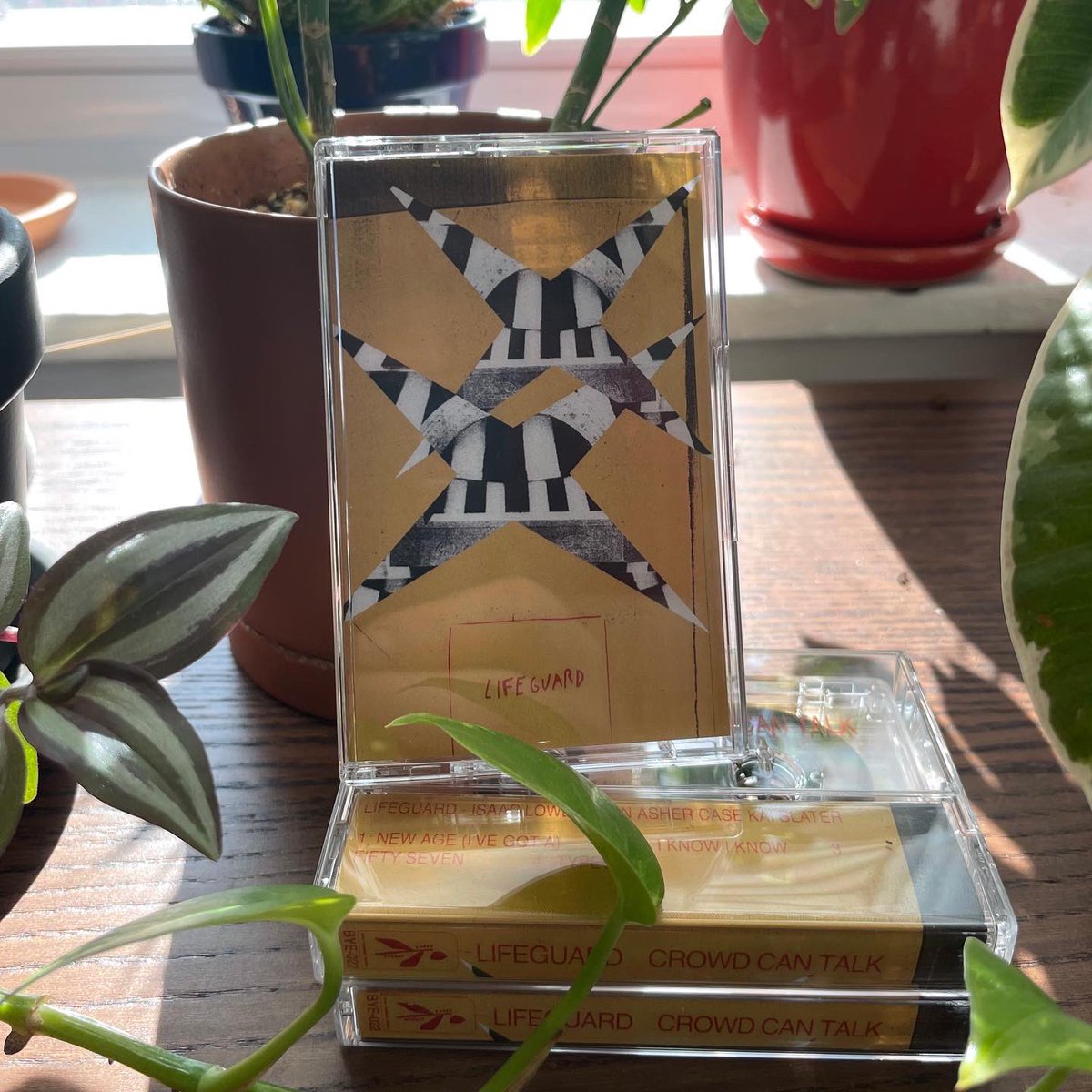 BornYesterdayyy's tweet image. Big news in @lifeguard_band world today! Tapes are back in stock! Theyre on @GroundControl__ and @anothermgmtco! Lastly, you can catch them TONIGHT at Garfield Park Conservatory w/ CHAI and on Saturday at the Tone Deaf Recs 3 year anniversary party! Woo Lifeguard!