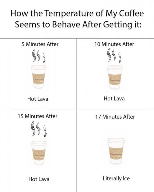 Christopher Tran tweet media