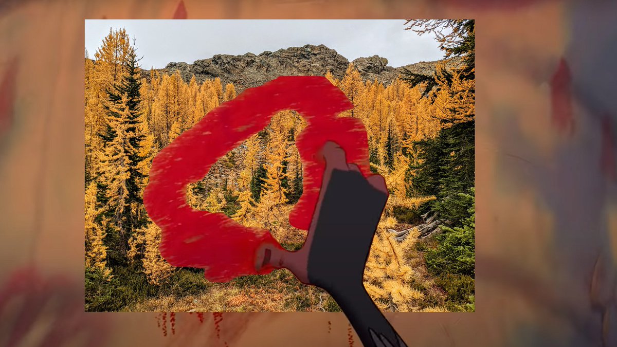 waDNR's tweet photo. Me at 12:01 a.m.🍂 https://t.co/BwkSDyv2gT