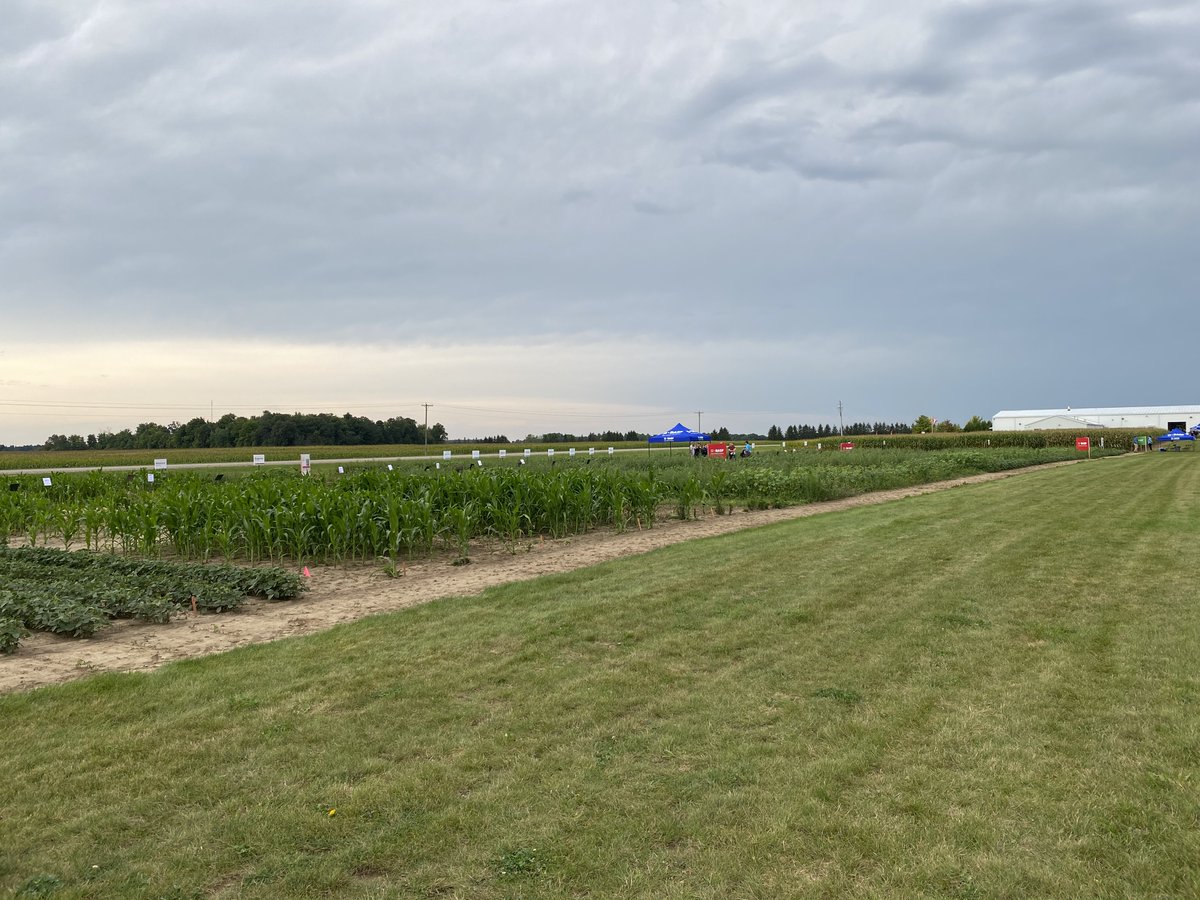 BASFAgSolutions's tweet photo. We’re excited to share three new products that will be available to #EastCdnAg growers: Sphaerex Fungicide, Nodulator IP Plus and Insure Cereal FX4 + Relenya, and Veltyma DLX Fungicide! 🤩 All tested at our London Research Farm📸here. https://t.co/HKqEQkHIZQ
