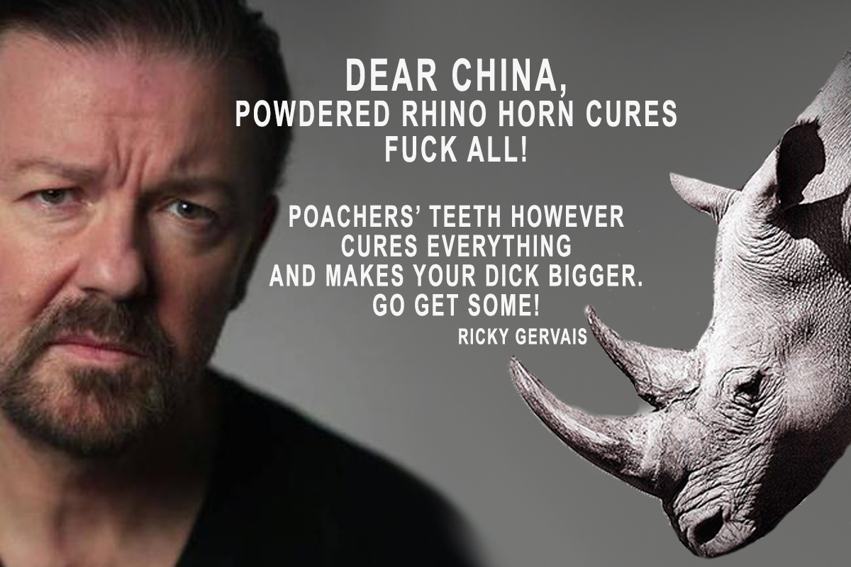 _AnimalAdvocate's tweet photo. Sound medical advice from @RickyGervais🕺💞 

"Powdered rhino horn cures F🤬CK ALL. Poachers' teeth however cures everything."

Help @CBTHunting to #BanTrophyHunting🦏💔

@Protect_Wldlife @PeterEgan6 @RobRobbEdwards @TrophyXpose @Animals1st @domdyer70 @hilltopgina #WorldRhinoDay https://t.co/ncqrSmp4eo
