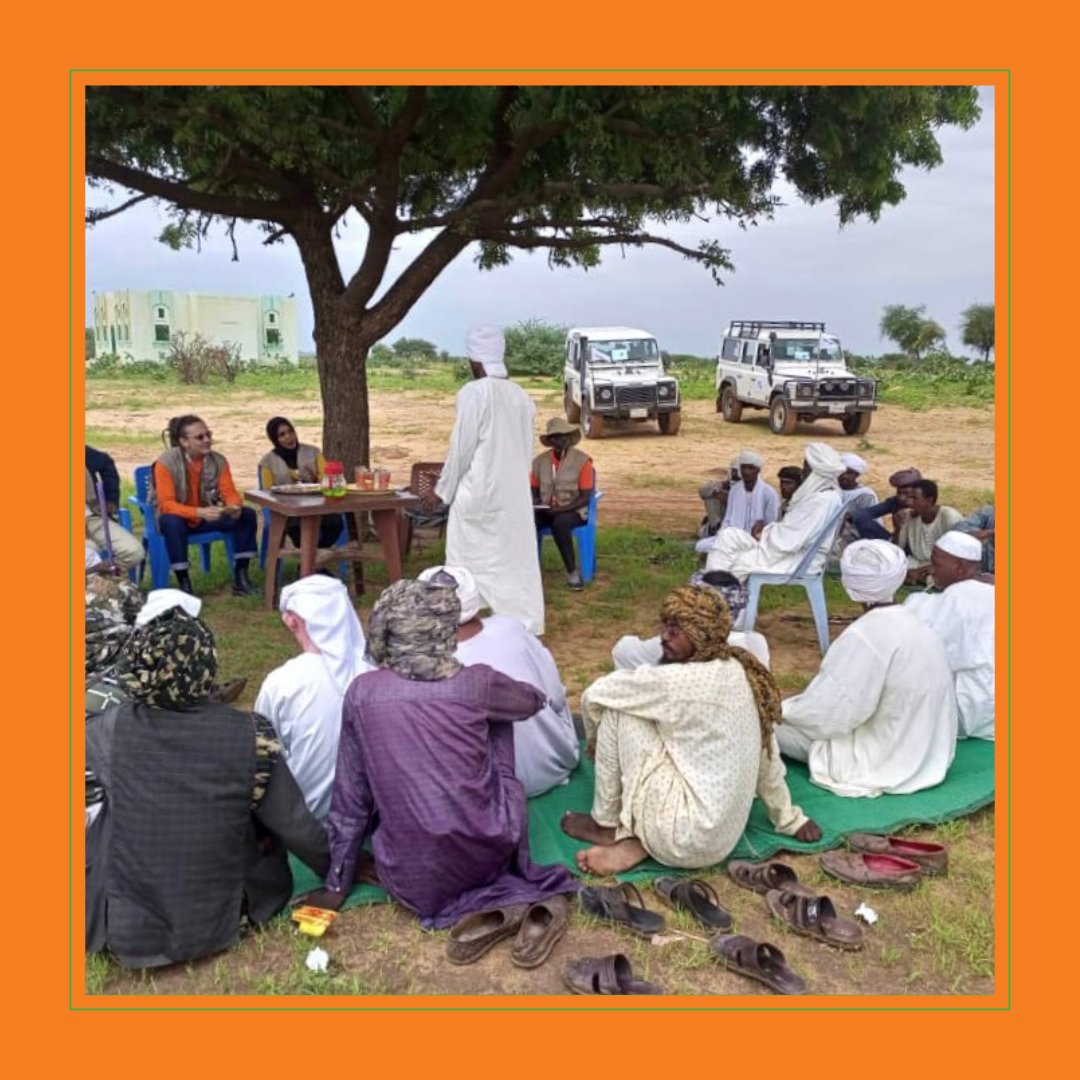 Peaceforce's tweet photo. ☀️ As we reflect on #InternationalDayofPeace, here's a small glimpse at NP's #Sudan Country Programme. 

While it's one of our newest Programmes, it's another great motto of #PeacebuildingInAction!

🔹 Read more about NP's work in Sudan:
https://t.co/cfxTJFAAZc https://t.co/pfuAPBgqmN