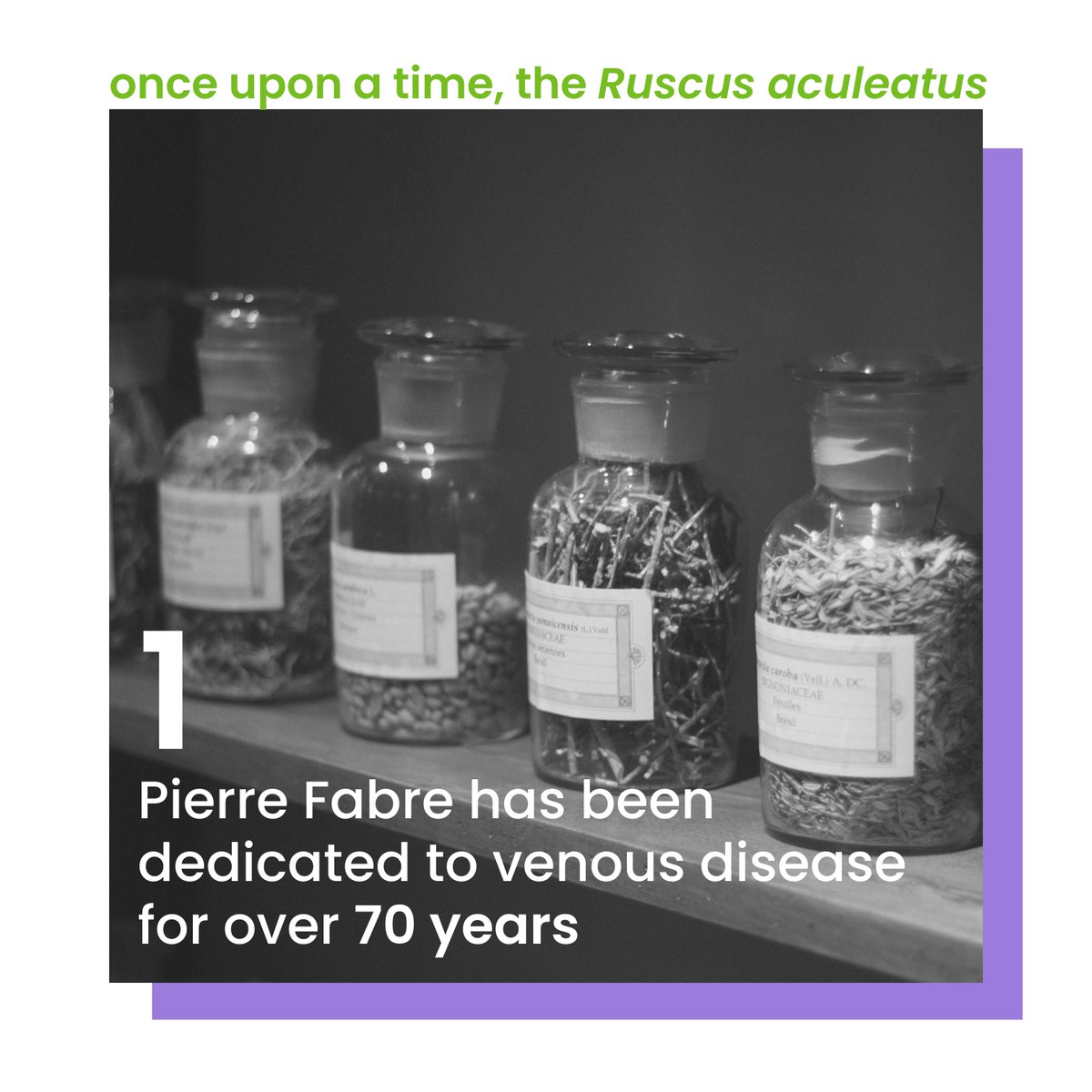 WeCareAsOne's tweet photo. #Thread What do venous disease and #ruscus aculeatus have in common? It’s us! https://t.co/G0WKGSwDXQ