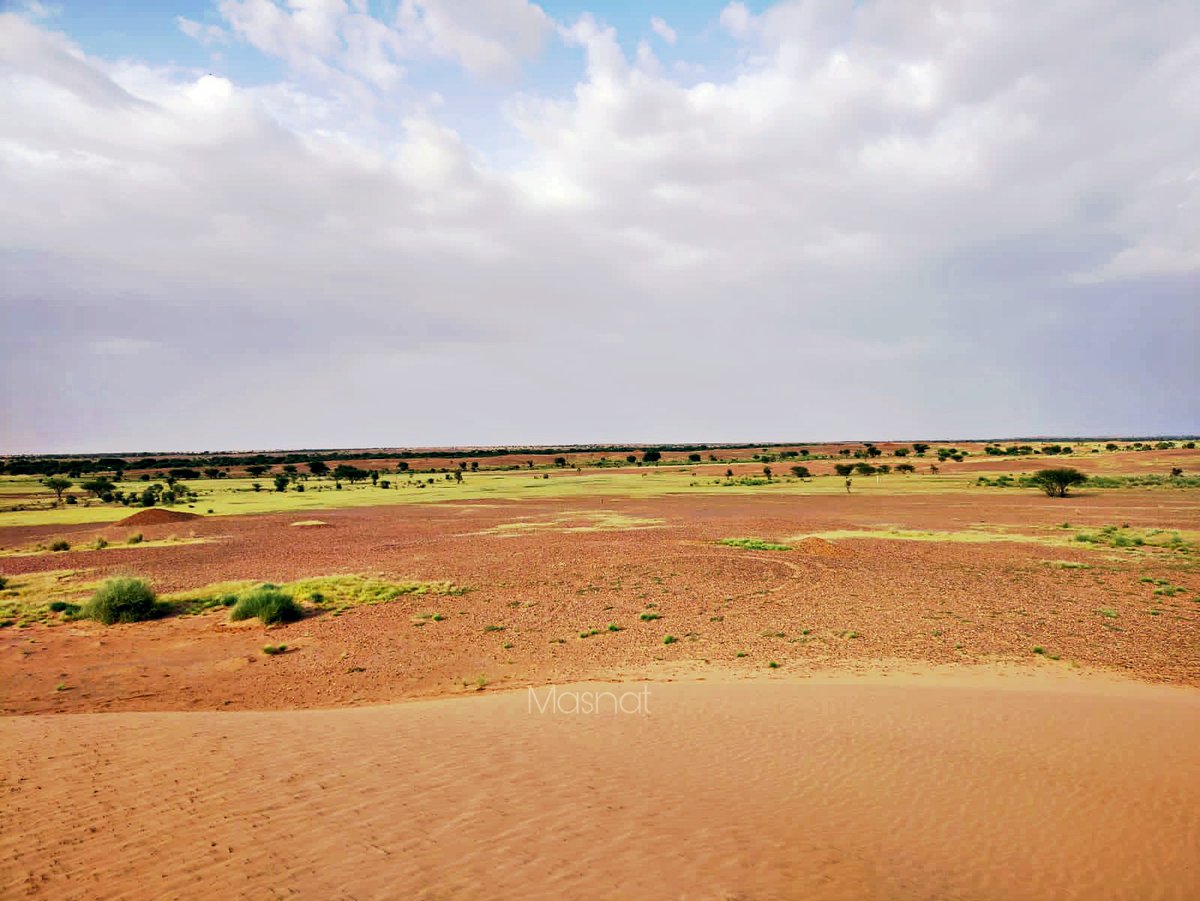 Obianou's tweet photo. l'excursion culturel de #Masnat à la porte du désert pour contempler la nature De dune.
Explorez les merveilles de L'Aïr a travers son #Sahara, #Ténéré, #Culture, #Art culinaire, #patrimoine #VisitAgadez #Masnat.
#BrandingAfrica #VisitAgadez https://t.co/d7qOqnQWIi