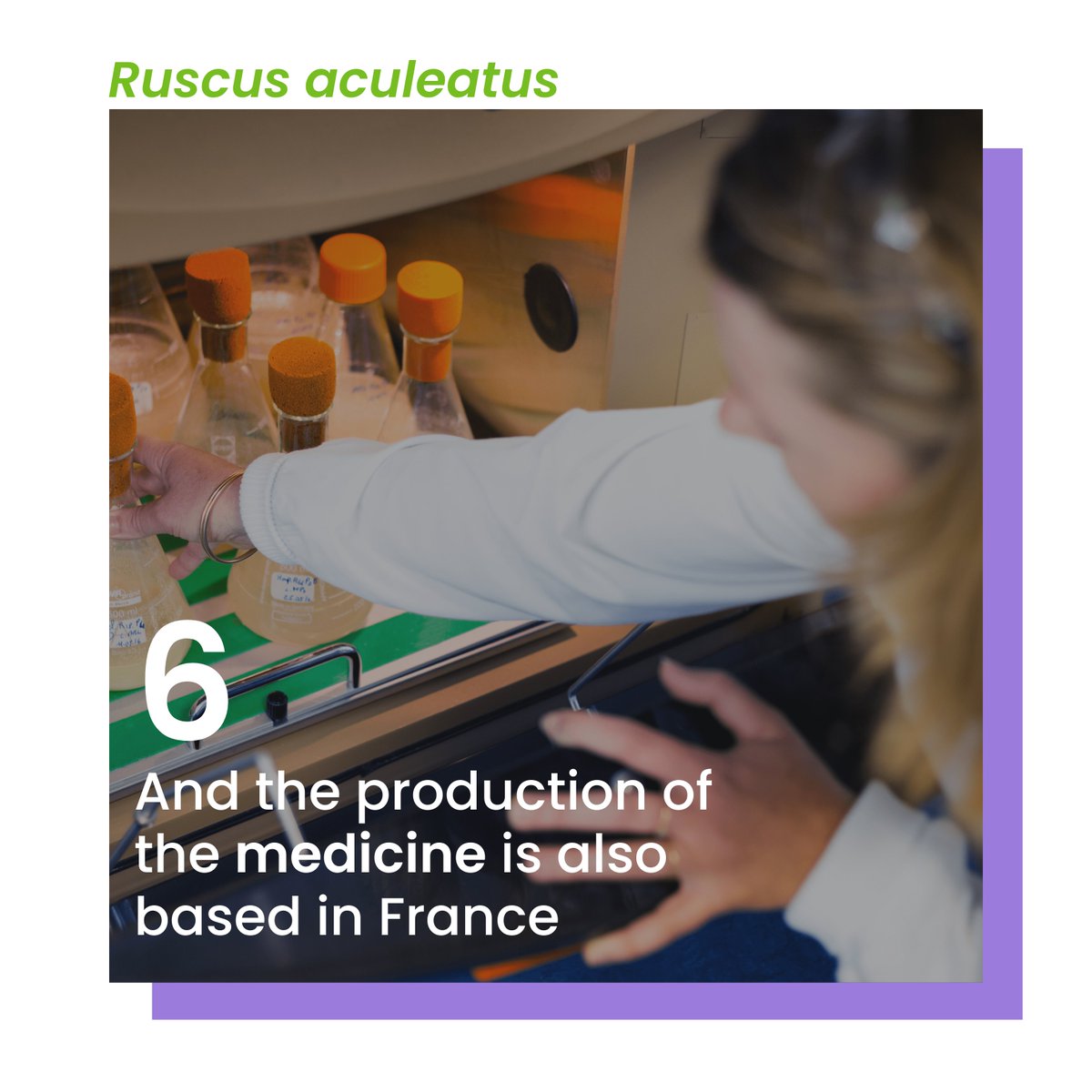 WeCareAsOne's tweet photo. #Thread Discover this plant through the prism of Pierre Fabre Pharmaceutical Care. 🌿 We are reinventing ourselves everyday to improve everyone’s #health. 👊 https://t.co/UyTerOivyQ