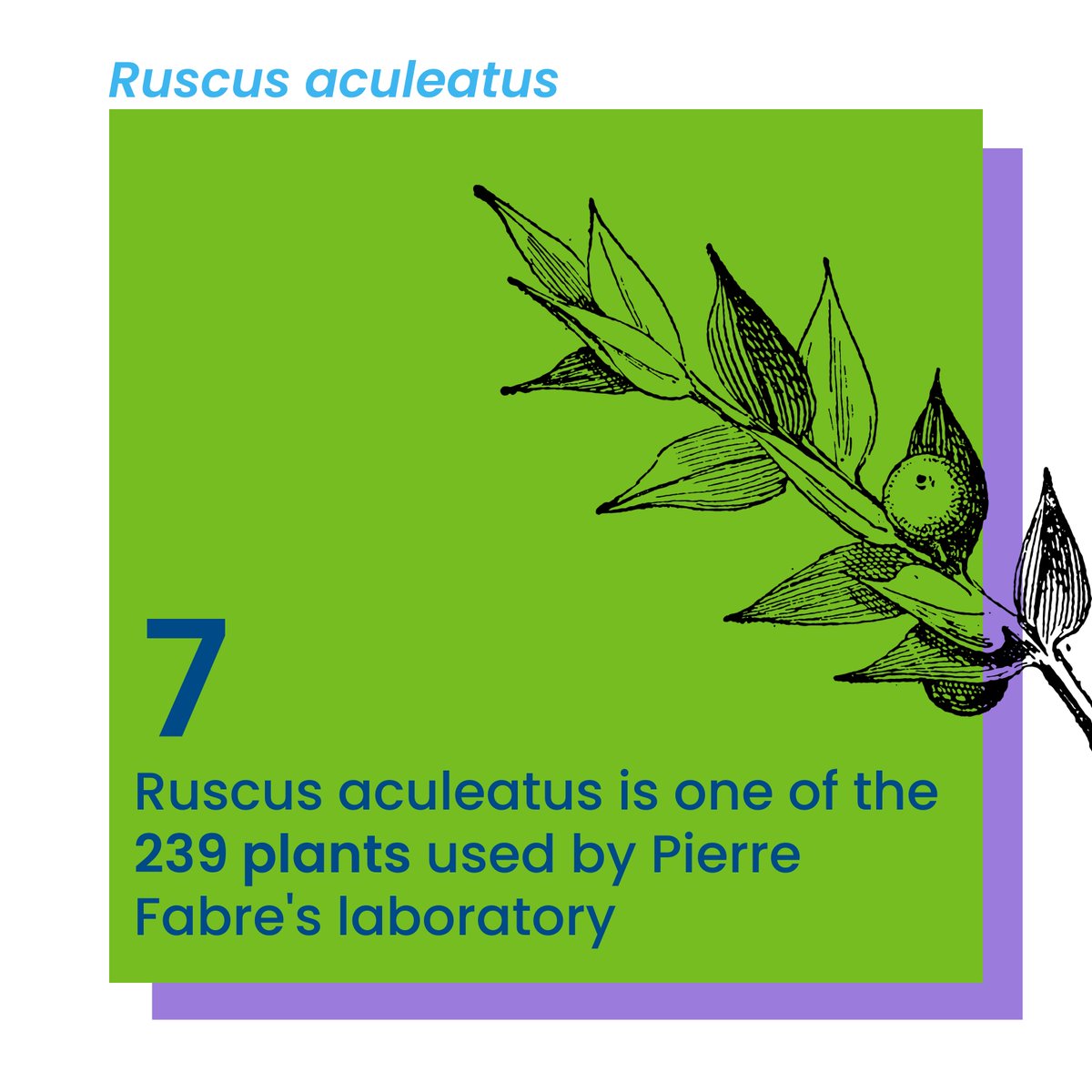 WeCareAsOne's tweet photo. #Thread Discover this plant through the prism of Pierre Fabre Pharmaceutical Care. 🌿 We are reinventing ourselves everyday to improve everyone’s #health. 👊 https://t.co/UyTerOivyQ