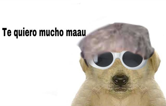 cris_wany's tweet photo. Feliz cum Lic. @MaauGuerrero https://t.co/MFy6LtFAXo