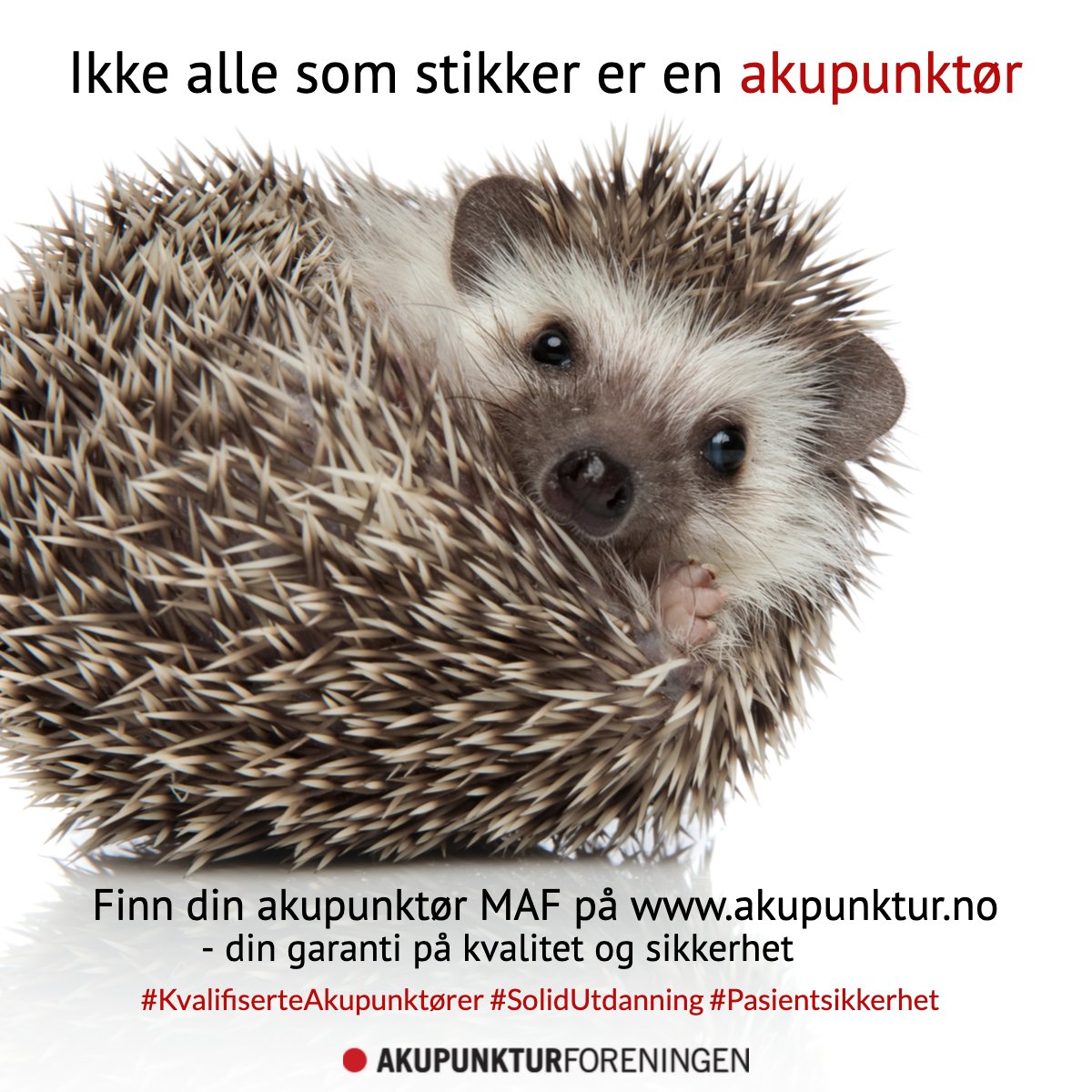 akupunktur_no's tweet image. Viktig å huske på når du skal få behandling med nåler. For din egen sikkerhet. #AkupunktørMAF #KvalifiserteAkupunktører #SolidUtdanning #Pasientsikkerhet #KvalitetPåBehandling