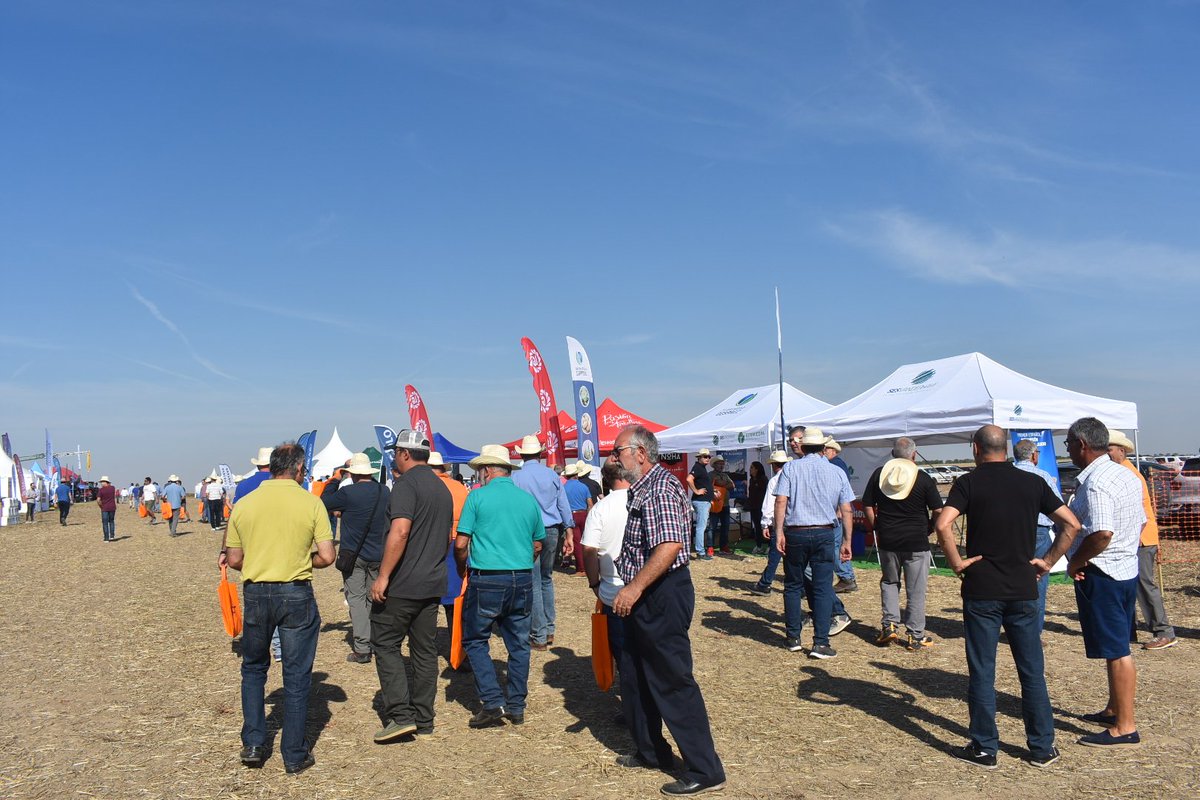 AsajaValladolid's tweet photo. Hoy acudimos a las jornadas  de campo de @ACOR_COOP en #Magazos #Ávila con motivo  del 60 aniversario de esta cooperativa https://t.co/V1KGjKOpUo