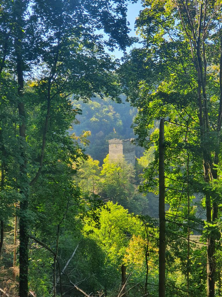 caledonian83's tweet photo. Persönliche Rheinsteig-Lücke endlich geschlossen! Sayn-Leutesdorf (35km) check! #Rheinsteig #hiking #rlp https://t.co/7oVmk7tHCu