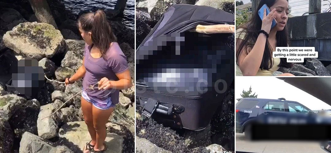 เรื่องนี้เป็นคดีสยองขวัญที่กลายเป็นไวรัลไปทั่วโลก เมื่อวัยรุ่นติ๊กต่อกกลุ่มนึงไปเจอกระเป๋าเดินทางปริศนาที่มีชิ้นส่วนศพคน! ตอนแรกทุกคนก็นึกว่าเป็นเรื่องตลกล้อเล่นแต่ดันเป็นศพของจริง และจุดเริ่มต้นเรื่องทั้งหมดก็มาจากการเล่นแอพลึกลับที่เชื่อกันว่าเป็นแอพต้องคำสาป (อ่านต่อในเมนชั่น)