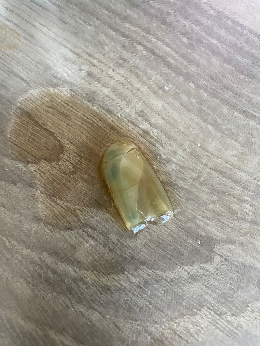 johnson_stephy's tweet photo. @CocaCola absolutely appalled by the lack of responsibility taken by glove tips being in your product. No respect or care for your customers, and lack of hygiene is astounding.

#CocaColaDreamworld #RealMagic #TasteTheWonder #CocaColaCreations https://t.co/O5nksMU4Jh