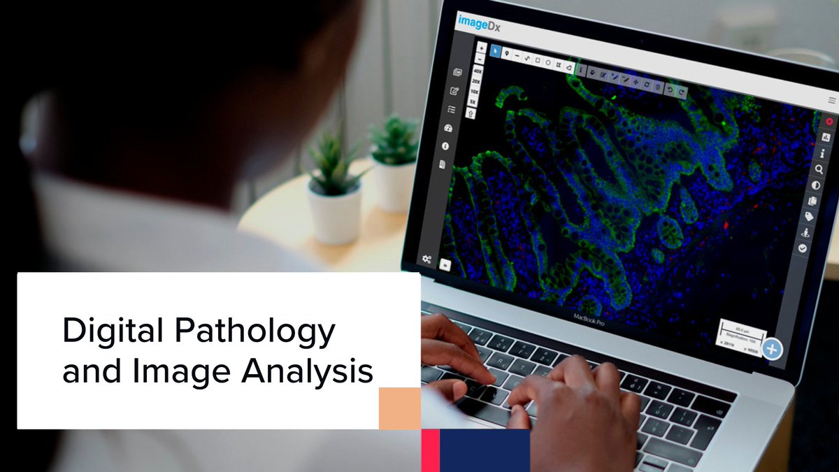 CellCarta's tweet photo. Transform tissue biology into actionable data with Reveal Biosciences' imageDxโข!
Our portfolio of image analysis tools is combined with ML/AI-based digital assays to help capture rich information from tissues.
Discover more: https://t.co/mI1pvobut2
#CellCarta #CROLaboratory https://t.co/moVoVMH7dx