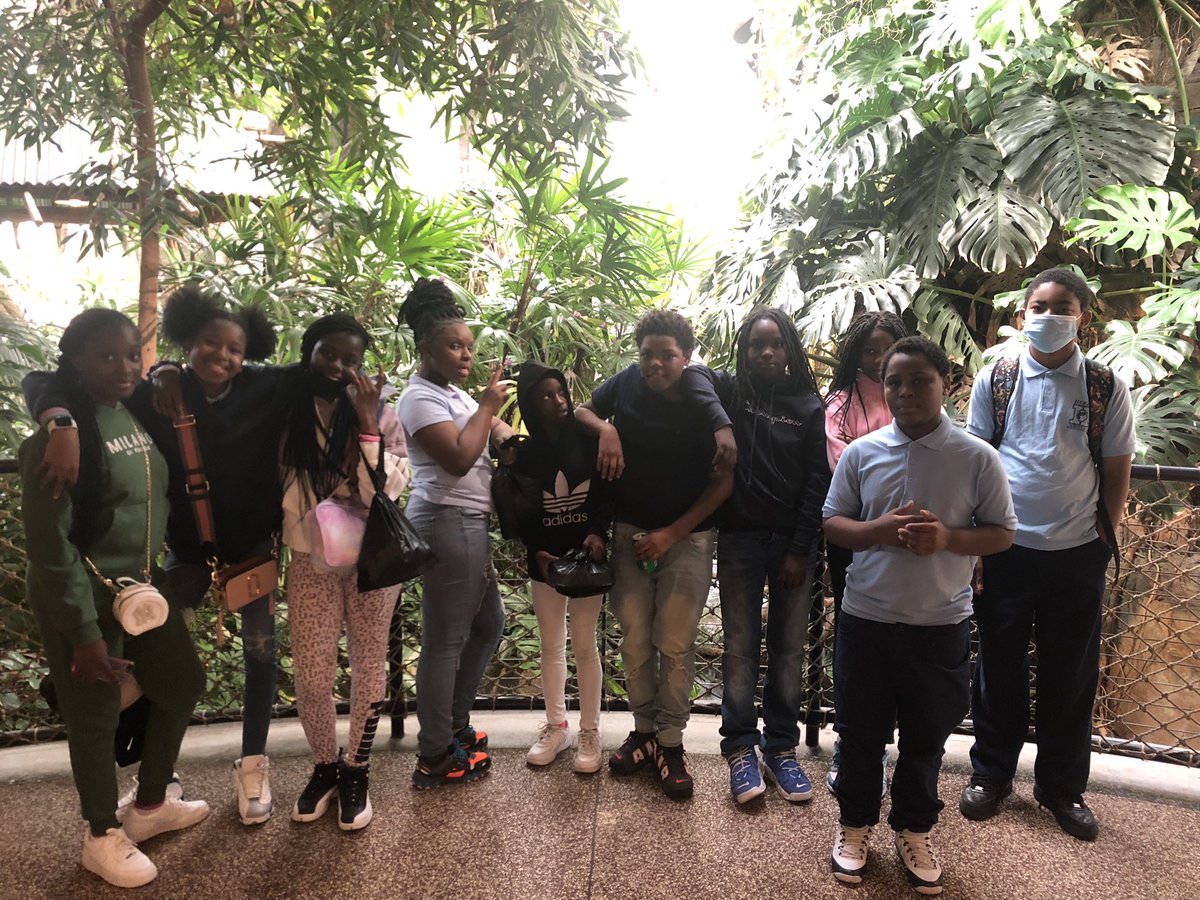 6th graders <a href="/theherzlbears/">The Herzl Bears</a> enjoying the African Wild Life exhibit