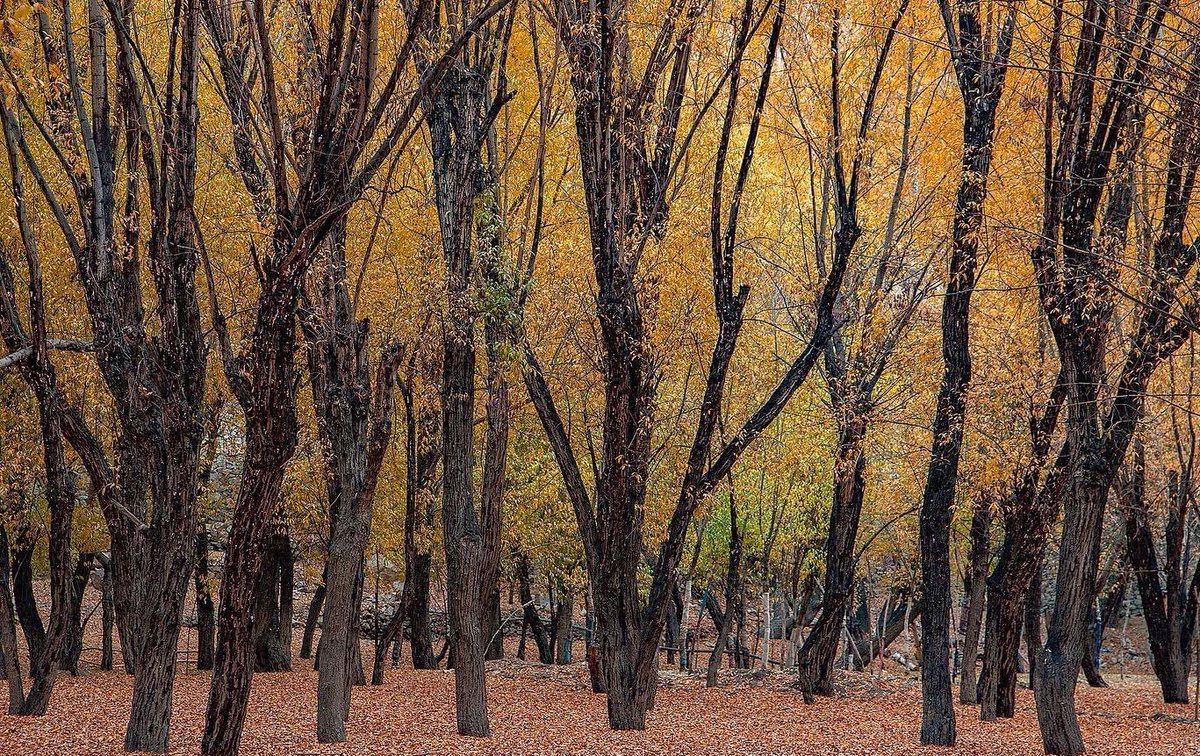 ItsAatesam's tweet photo. #Baltistan 
Hey #October #AutumnVibes https://t.co/kyWuXjkpwc