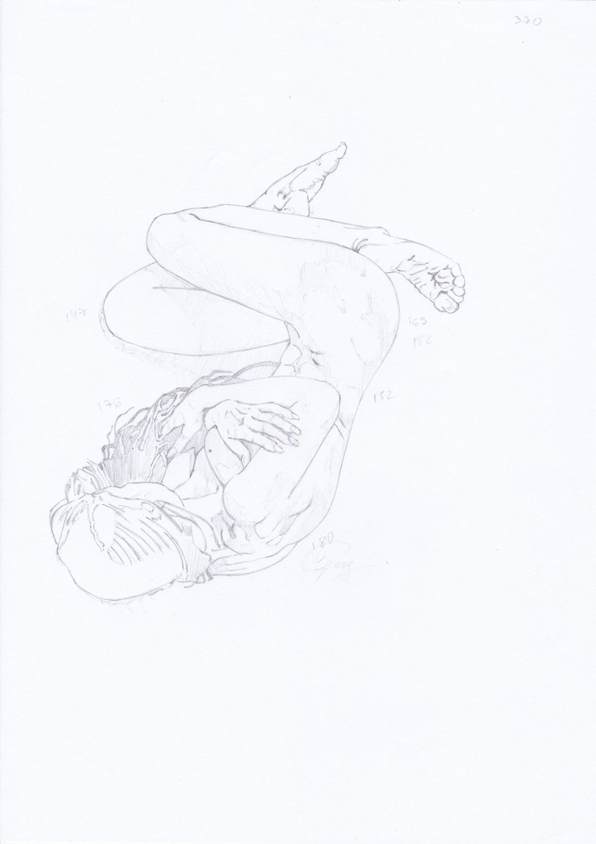 vgoes__'s tweet photo. Descansar 2019.
#ballpointpen #art #treewoman #nude #artisticnude #artist #artwork https://t.co/mNwGUpjm2K