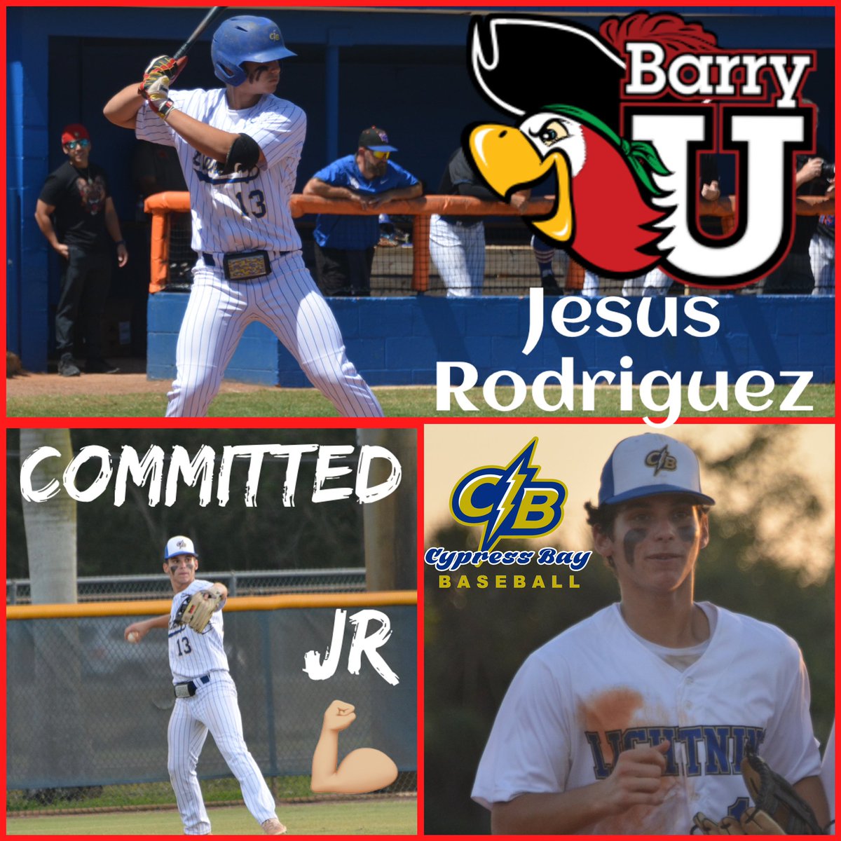 The Bay Baseball tweet media