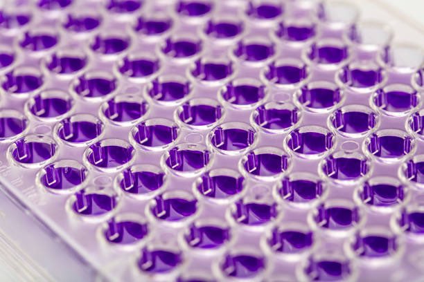G David Lab (@GDavidLab) / Posts / X