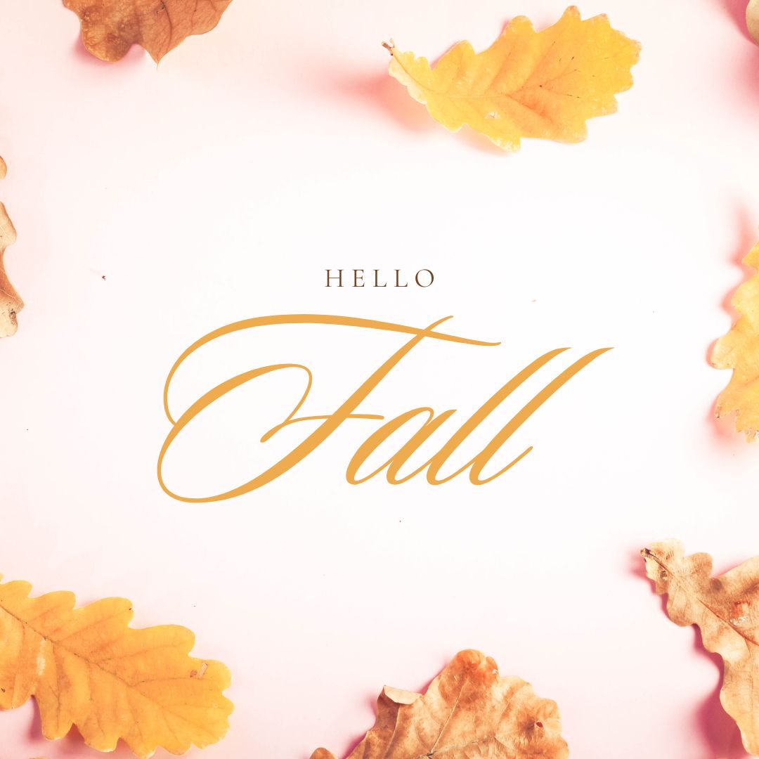 Topiclear USA tweet media