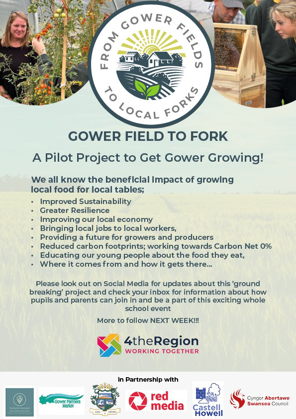 4theRegion's tweet photo. ๐ฅ From Gower fields to local forks ๐ด
We all know the beneficial impact of growing local food for local tables
Look out on social media for updates on this groundbreaking project and check your inbox for information on how to join in
#4theRegion #SwanseaCouncil #CastellHowell https://t.co/0MVt0y1AH4