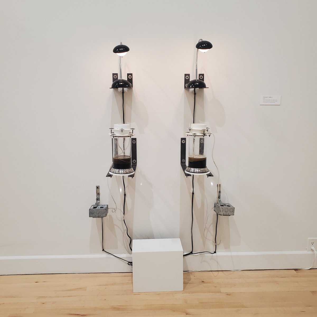 University Galleries tweet media