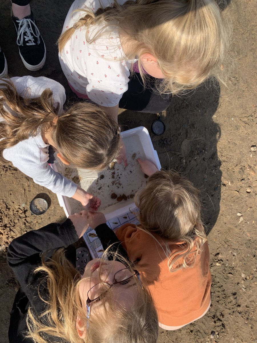 _Miss_Bruce's tweet photo. P2B had a great time on their trip to the River Dee this week. We learned about the salmon cycle, river animals and we even got to look at some fish up close! @Kirkhill_School https://t.co/oSSSM5ufDj