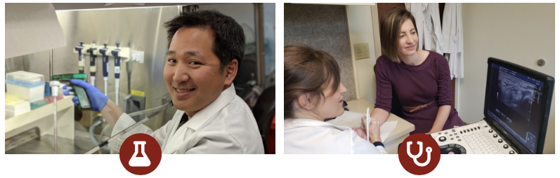 Stanford Rheumatology (@stanfordrheum) on Twitter photo One of our divisions favorite time of year <a href="/StanfordMed/">Stanford Medicine</a> where we get to meet and be inspired by talented fellowship applicants and show them all our program has to offer! #rheumatology #education <a href="/StanfordRheumUS/">Stanford Rheumatology Ultrasound Program</a>
med.stanford.edu/immunology/edu⦠One of our divisions favorite time of year <a href="/StanfordMed/">Stanford Medicine</a> where we get to meet and be inspired by talented fellowship applicants and show them all our program has to offer! #rheumatology #education <a href="/StanfordRheumUS/">Stanford Rheumatology Ultrasound Program</a>
med.stanford.edu/immunology/eduā¦