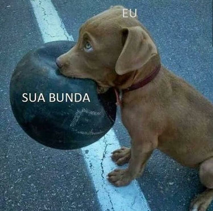 se Jesus clonava pao pq eu nao posso clonar cartao tweet media