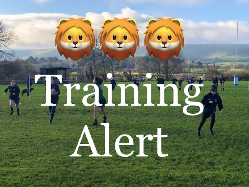 ⚠️TRAINING ALERT⚠️
Thursday evening session from 6pm until 7pm today at Stanley Turner Ground 🦁🦁🦁 See you there 👍