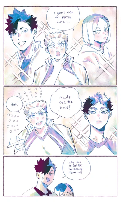 CATS VS OWLS 