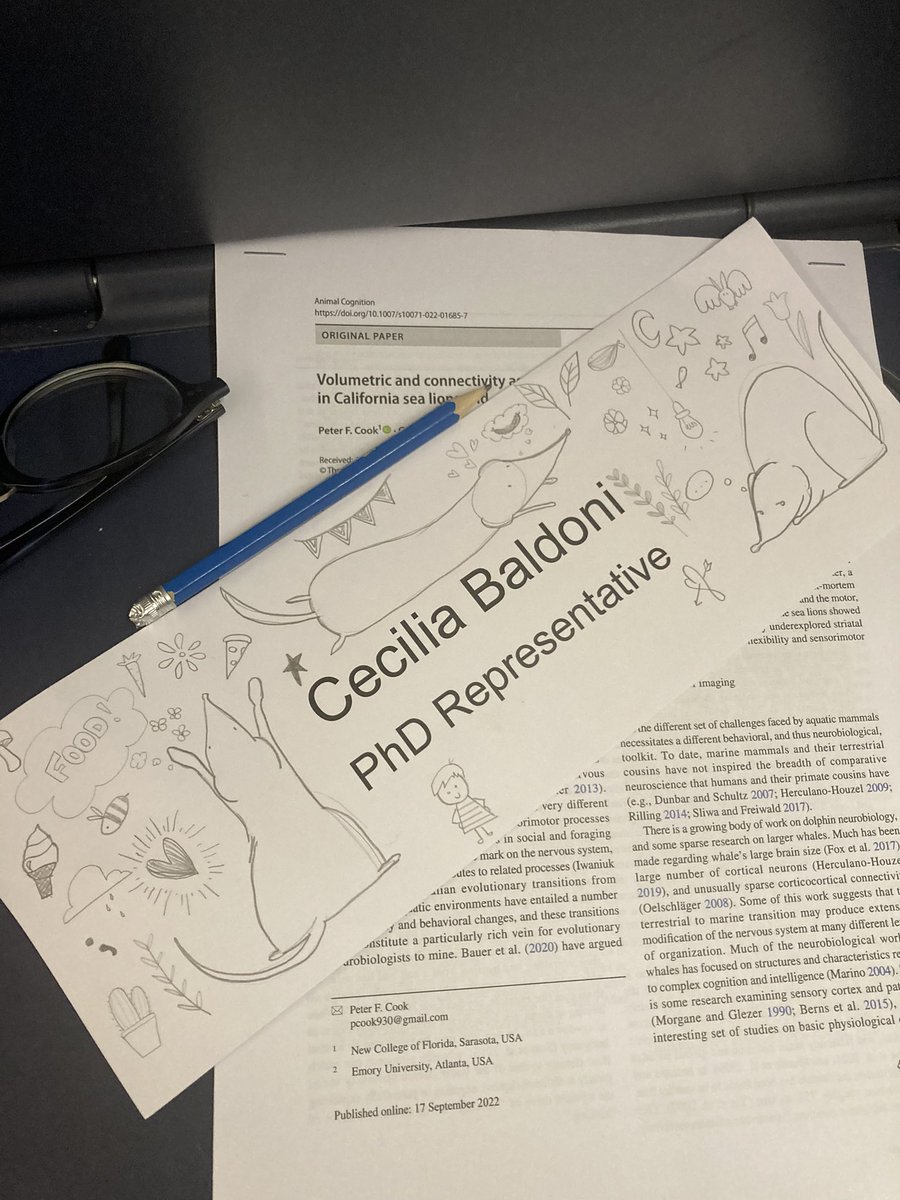 Cecilia Baldoni tweet media