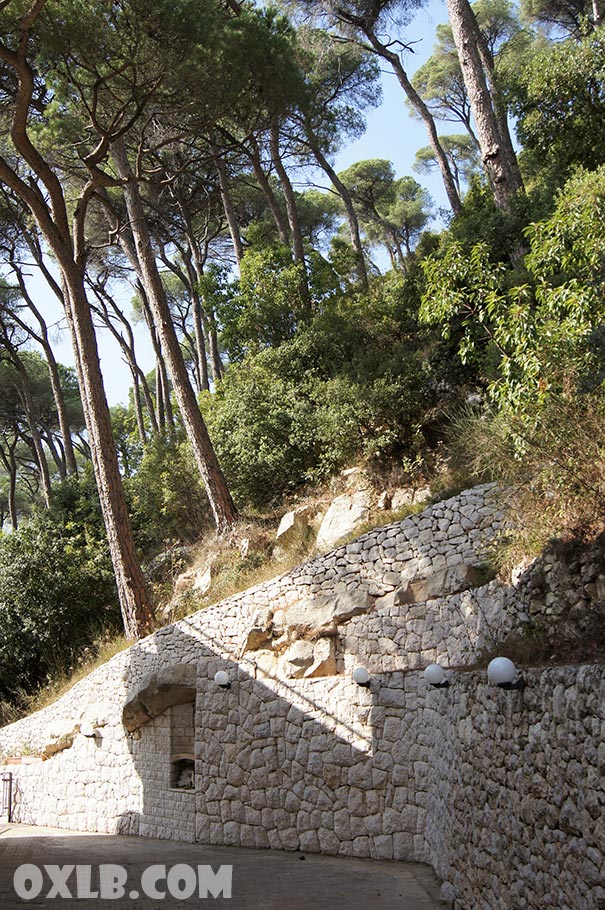 onefineart's tweet photo. I love seeing in Dlebta such a wall done by people to support a mountain above full of trees and create parking for cars... With effort, you can create something beautiful
https://t.co/BQIWMwsypk
#humanwork #humaneffort #effort #youcando #youcandoit #lebanon #dlebta #wallstreet https://t.co/VCfT42GSbG